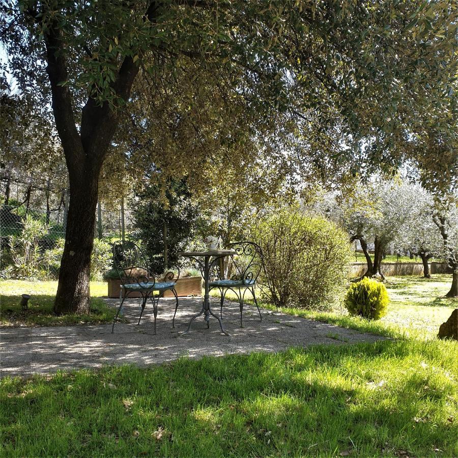 Villa Luna Comeana Exteriér fotografie