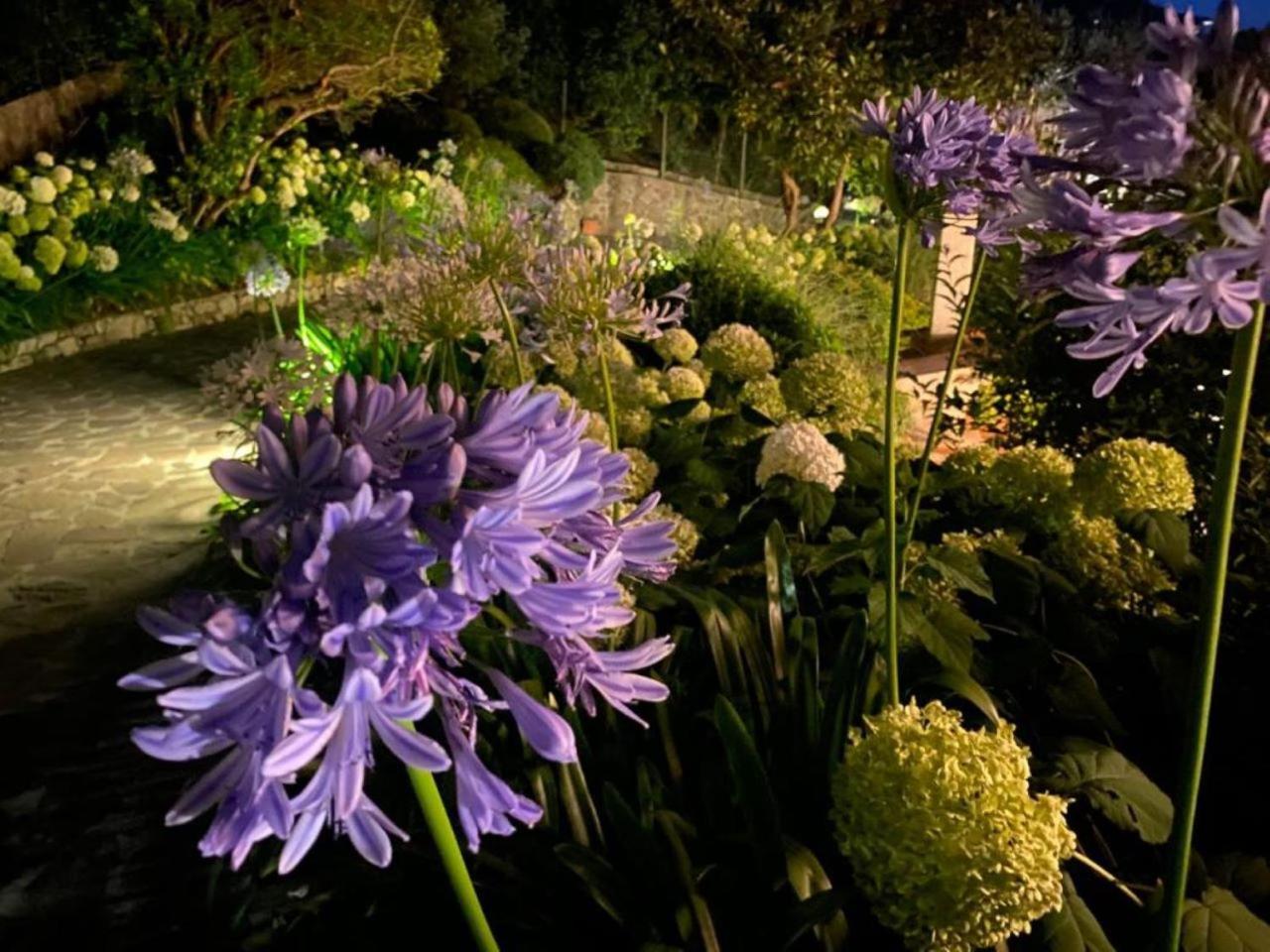 Villa Luna Comeana Exteriér fotografie