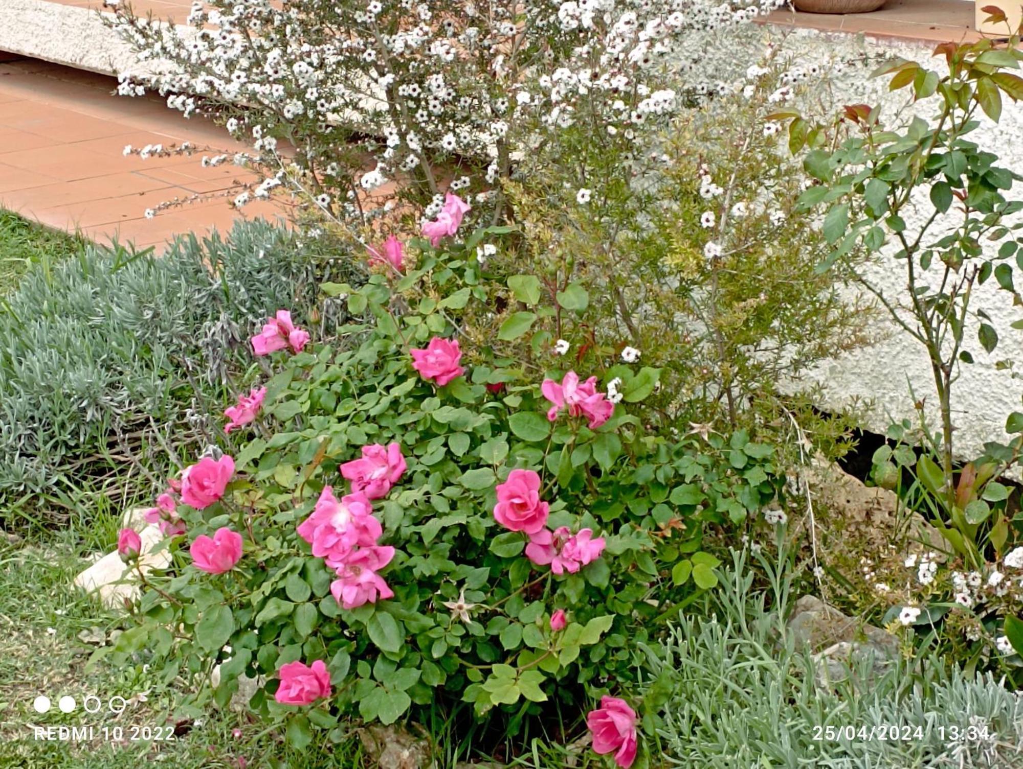 Villa Luna Comeana Exteriér fotografie