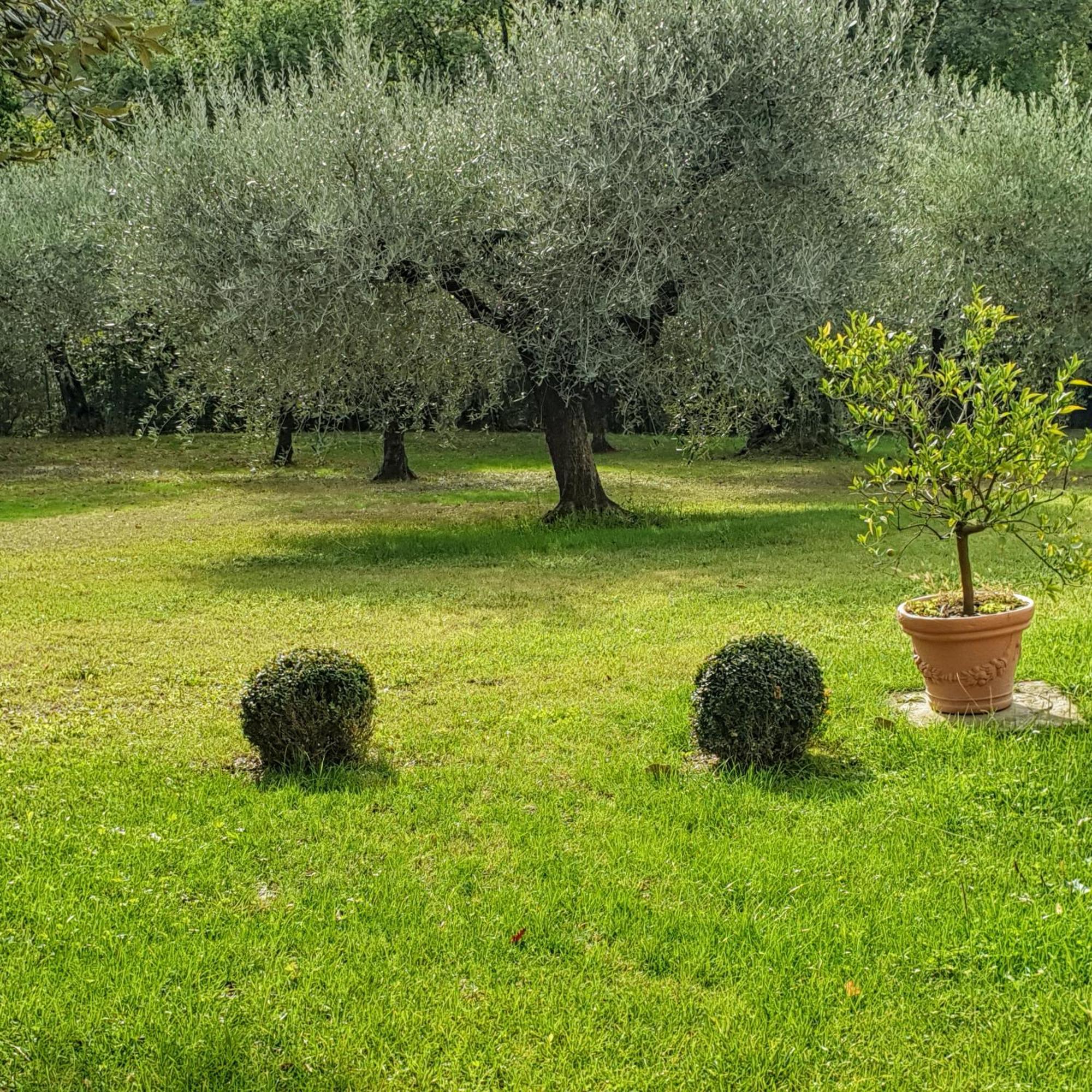 Villa Luna Comeana Exteriér fotografie
